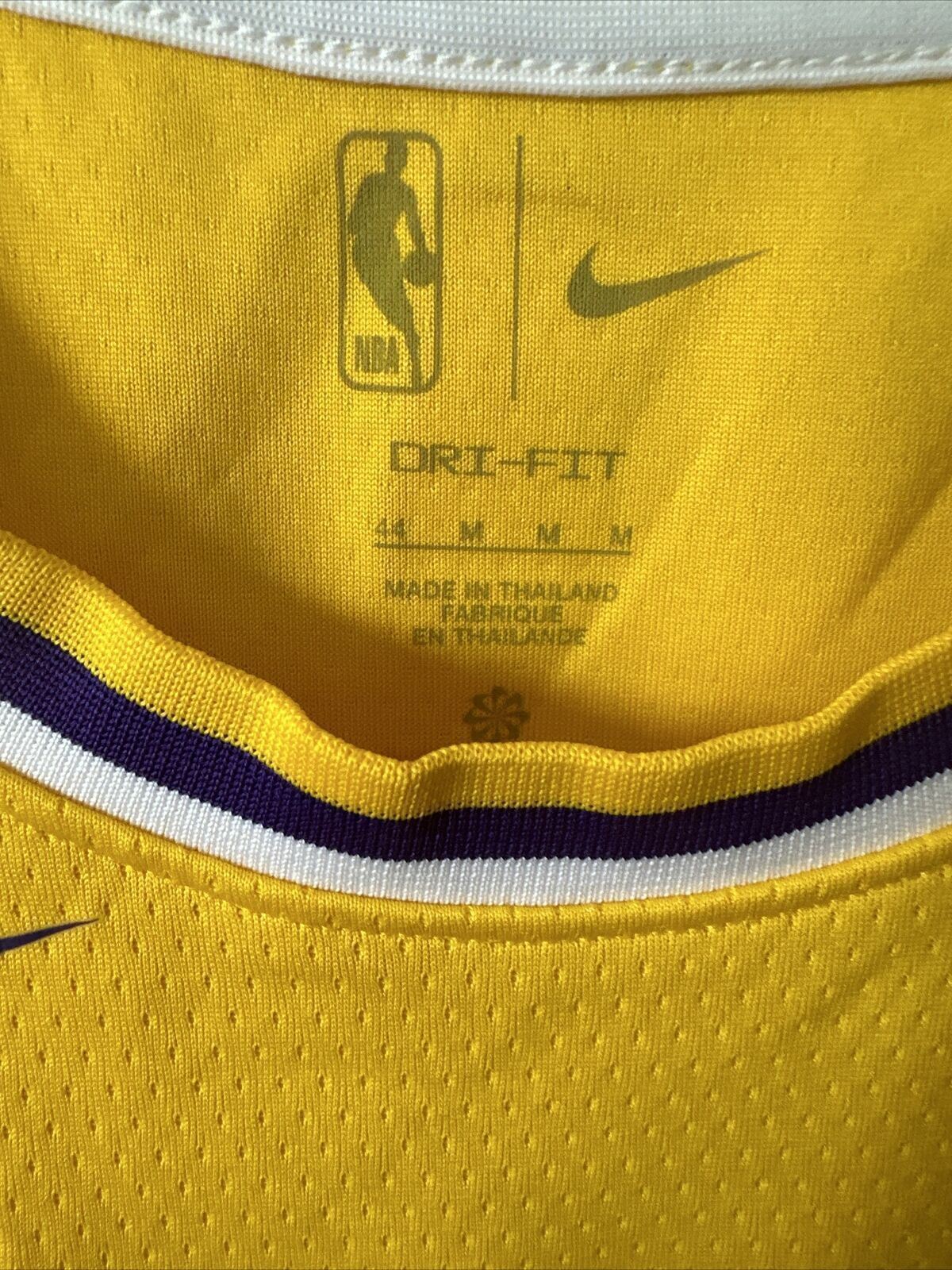Nike NBA LA Lakers Swingman Edition Jersey JULIE 25 Basketball Men Medium