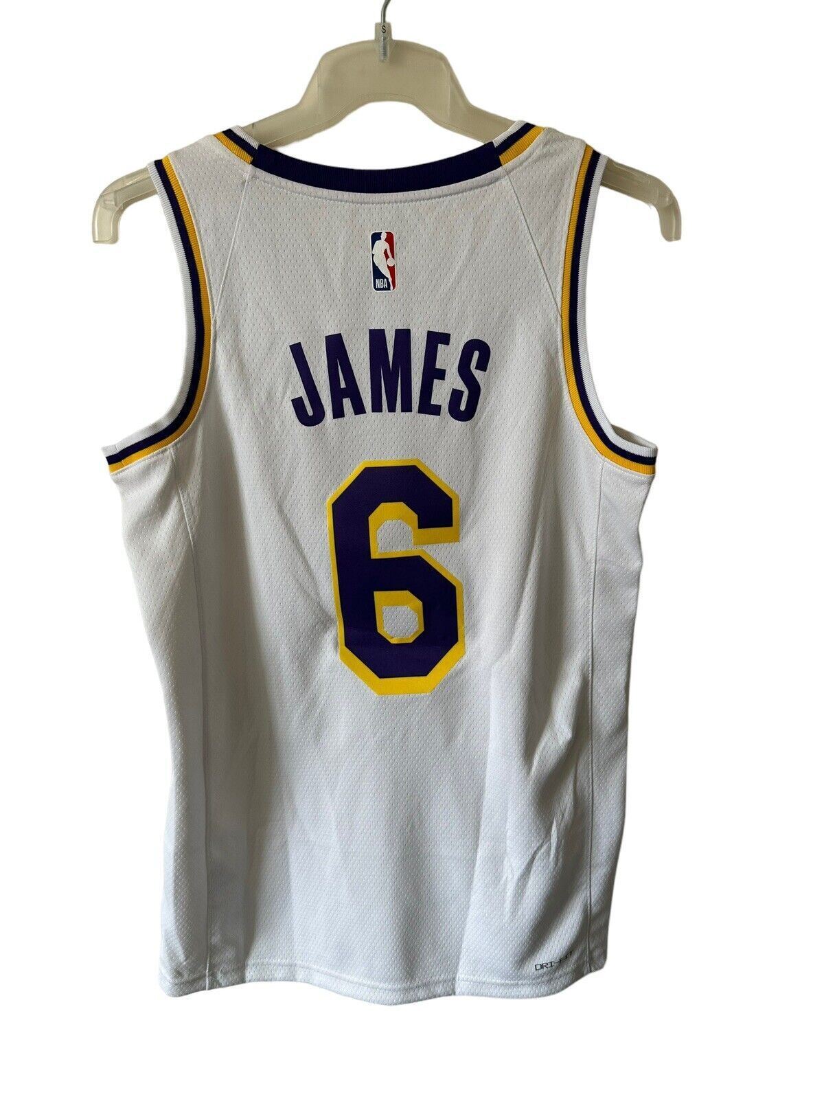 Nike NBA LA Lakers Swingman Edition Jersey JAMES 6 Basketball Men’s Small